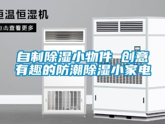 常見問題自制除濕小物件 創意有趣的防潮除濕小家電
