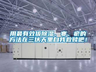 企業新聞用最有效拔除濕、寒、瘀的方法在三伏天里自我救贖吧！