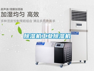 常見問題除濕機工業除濕機