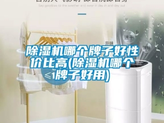 行業新聞除濕機哪個牌子好性價比高(除濕機哪個牌子好用)