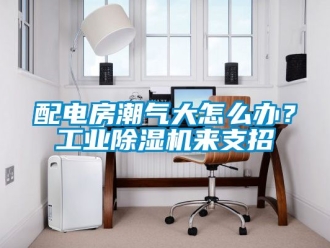常見問題配電房潮氣大怎么辦？工業(yè)除濕機來支招