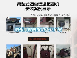 企業新聞杭州高效除濕機工業廠家