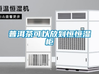知識百科普洱茶可以放到恒恒濕柜