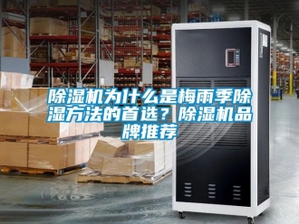 企業新聞除濕機為什么是梅雨季除濕方法的首選？除濕機品牌推薦