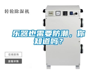 常見問題樂器也需要防潮，你知道嗎？