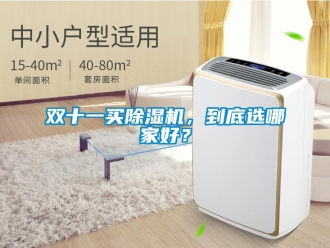 知識百科雙十一買除濕機(jī)，到底選哪家好？