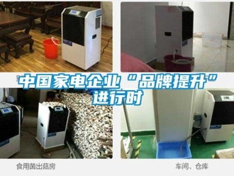 知識百科中國家電企業“品牌提升”進行時