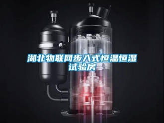 知識百科湖北物聯網步入式恒溫恒濕試驗房