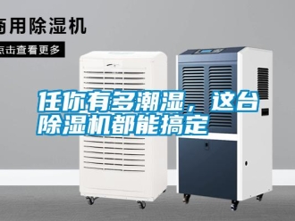 行業(yè)新聞任你有多潮濕，這臺除濕機都能搞定