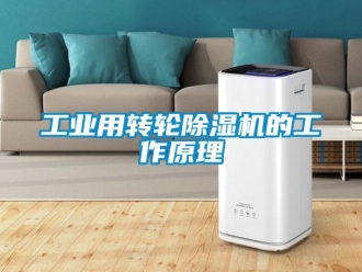 企業新聞工業用轉輪除濕機的工作原理