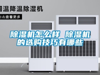 行業新聞除濕機怎么樣 除濕機的選購技巧有哪些
