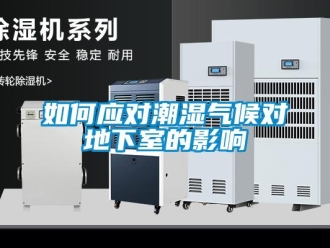 常見問題如何應對潮濕氣候對地下室的影響