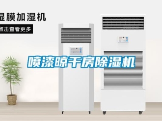 行業新聞噴漆晾干房除濕機