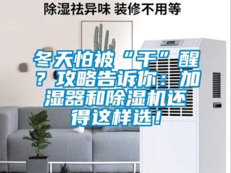 企業新聞冬天怕被“干”醒？攻略告訴你：加濕器和除濕機還得這樣選！