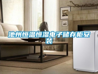 知識(shí)百科池州恒溫恒濕電子儲(chǔ)存柜安裝