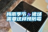 梅雨季節，豬場需要這樣預防霉