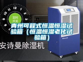 知識百科青州可程式恒溫恒濕試驗箱（恒溫恒濕老化試驗箱）