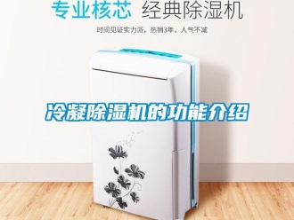 行業新聞冷凝除濕機的功能介紹