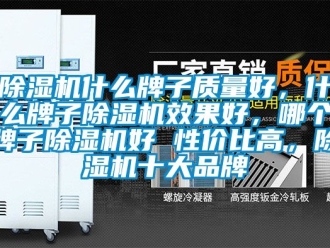 企業(yè)新聞除濕機什么牌子質(zhì)量好，什么牌子除濕機效果好，哪個牌子除濕機好 性價比高，除濕機十大品牌