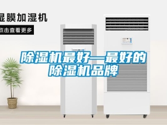 企業新聞除濕機最好—最好的除濕機品牌