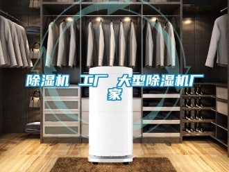 企業新聞除濕機 工廠 大型除濕機廠家