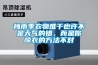 枸杞容易受潮怎么辦，要如何保存？
