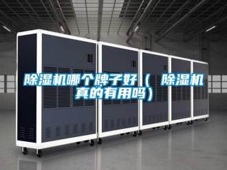 行業新聞除濕機哪個牌子好（ 除濕機真的有用嗎）