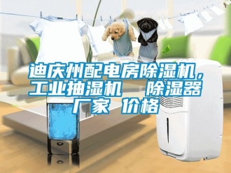 企業(yè)新聞迪慶州配電房除濕機(jī)，工業(yè)抽濕機(jī)  除濕器廠家 價(jià)格