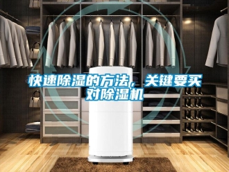 行業新聞快速除濕的方法，關鍵要買對除濕機