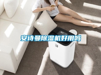 企業新聞安詩曼除濕機好用嗎