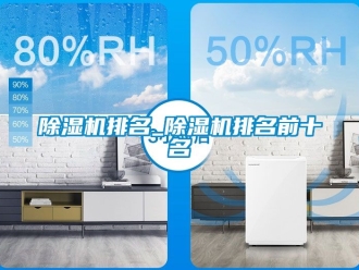 行業新聞除濕機排名_除濕機排名前十名