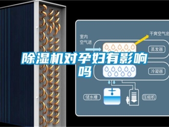行業新聞除濕機對孕婦有影響嗎