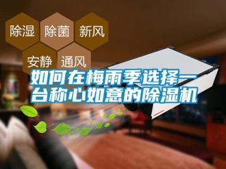 常見(jiàn)問(wèn)題如何在梅雨季選擇一臺(tái)稱心如意的除濕機(jī)
