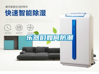 常見問題樂器們如何防潮