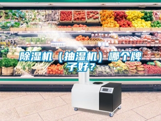 企業新聞除濕機（抽濕機）哪個牌子好？