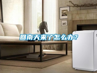 常見問題回南天來了怎么辦？