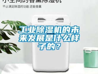 企業新聞工業除濕機的未來發展是什么樣子的？