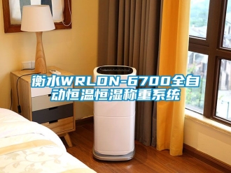 知識百科衡水WRLDN-6700全自動恒溫恒濕稱重系統
