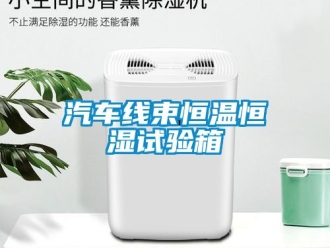 知識(shí)百科汽車(chē)線束恒溫恒濕試驗(yàn)箱