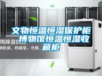 知識百科文物恒溫恒濕保護柜 博物館恒溫恒濕收藏柜