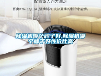 行業新聞除濕機哪個牌子好,除濕機哪個牌子好性價比高