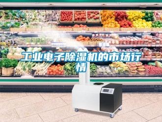 企業新聞工業電子除濕機的市場行情