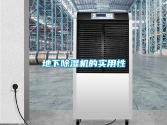 企業新聞地下除濕機的實用性