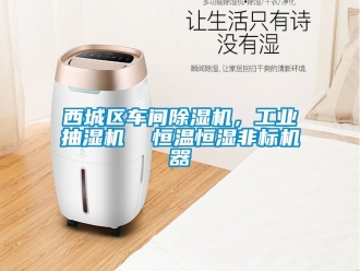 常見問題西城區車間除濕機，工業抽濕機  恒溫恒濕非標機器