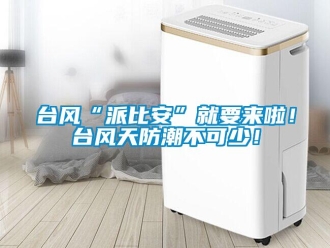 知識百科臺風“派比安”就要來啦！臺風天防潮不可少！