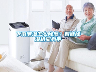 常見(jiàn)問(wèn)題下雨潮濕怎么除濕？智能除濕機(jī)顯身手