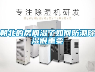 企業新聞朝北的房間濕了如何防潮除濕很重要