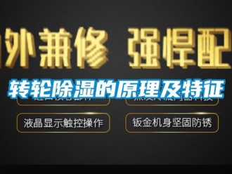 常見問題轉輪除濕的原理及特征