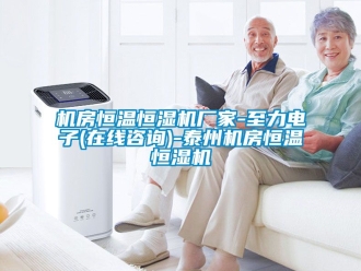 知識百科機房恒溫恒濕機廠家-至力電子(在線咨詢)-泰州機房恒溫恒濕機