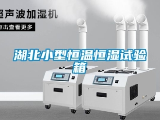 知識百科湖北小型恒溫恒濕試驗箱